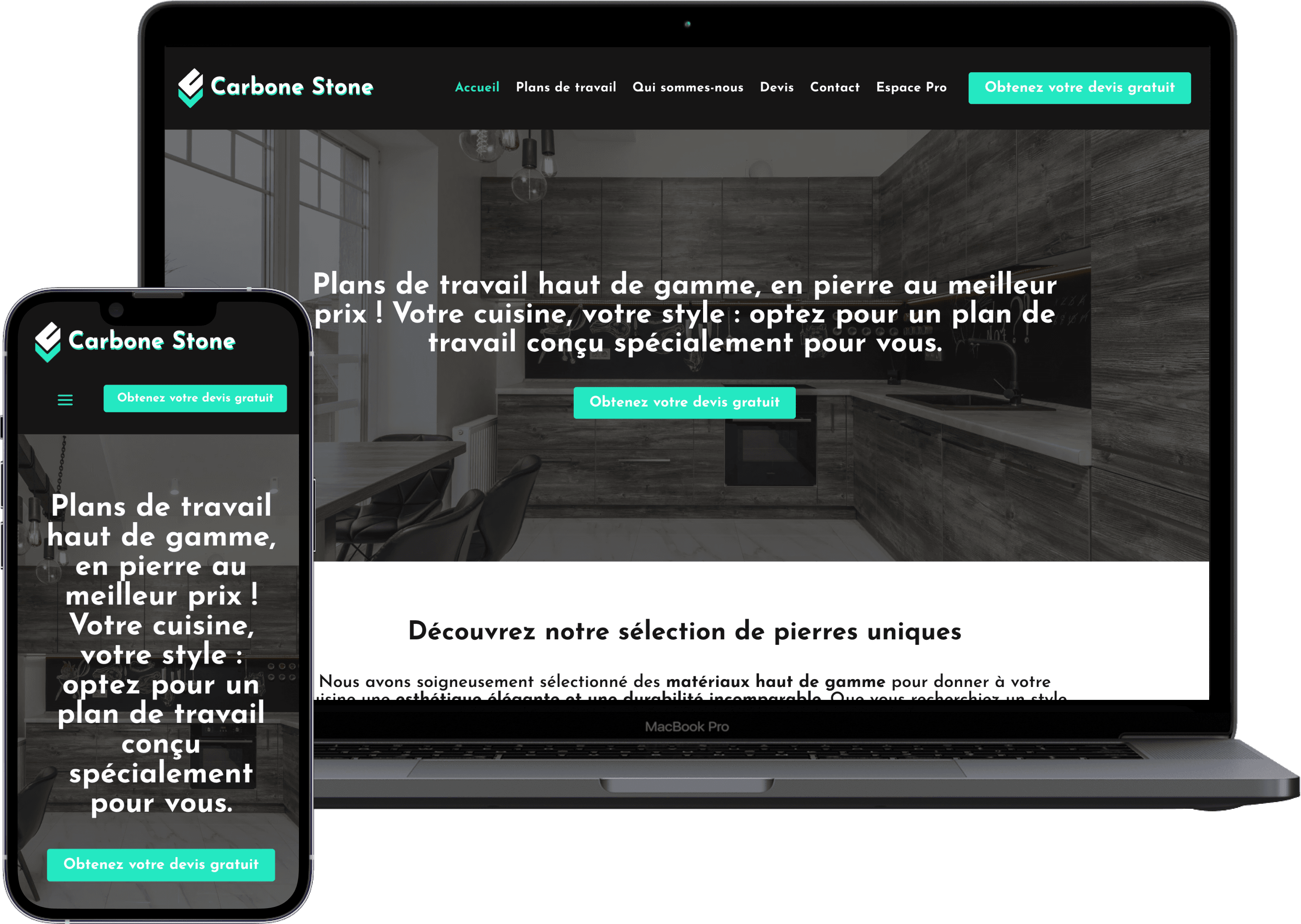 Aperçu du projet Carbonestone